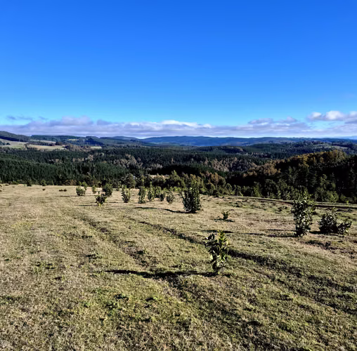 Lanco, camino a Valdivia. Financiamiento directo, Hermosas vistas panorámicas