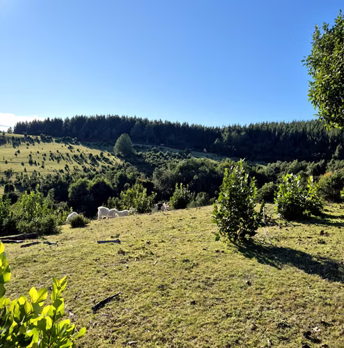 Lanco, camino a Valdivia. Financiamiento directo, Hermosas vistas panorámicas