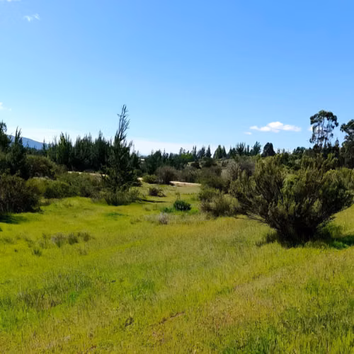 Parcela en oferta en Cauquenes