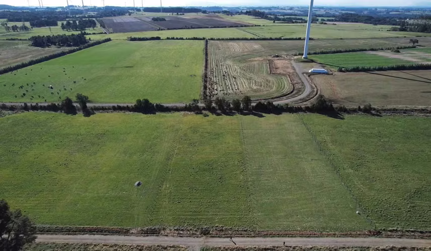 Parcela 5.000 m² Cerca de Puerto Varas | Luz, (169664)