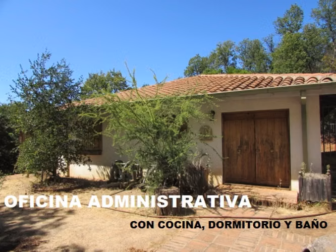 Cauquenes, M-50 camino a la costa, 18 has (169676)