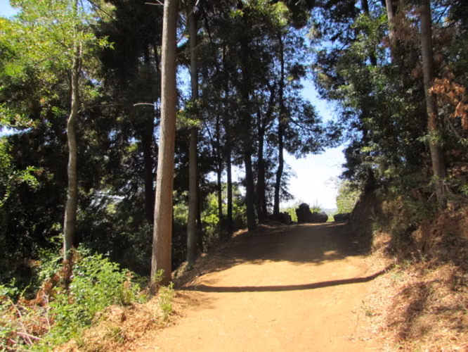 Cauquenes, M-50 camino a la costa, 18 has (169676)
