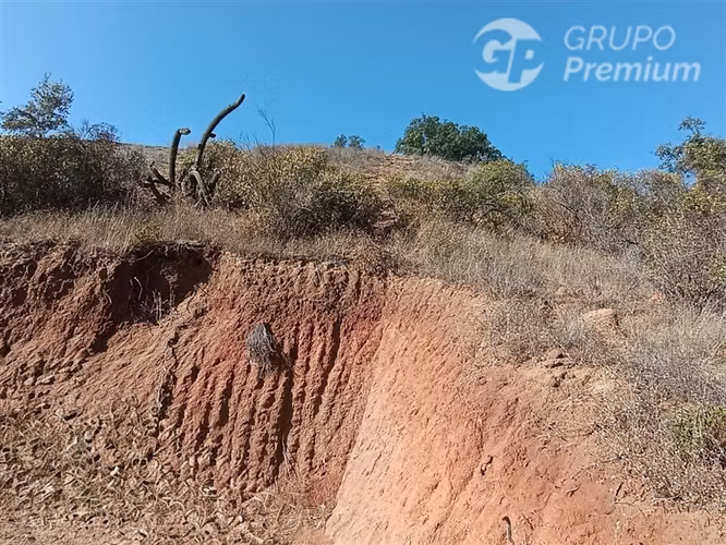 Parcela en venta 5000m2 en Curacaví - Imagen 8