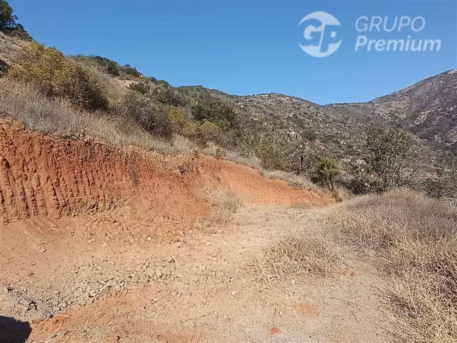 Parcela en venta 5000m2 en Curacaví