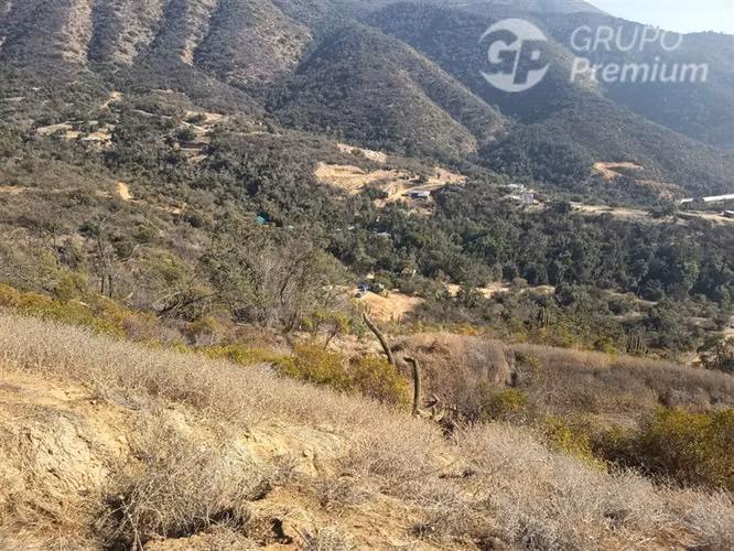 Parcela en venta 5000m2 en Curacaví