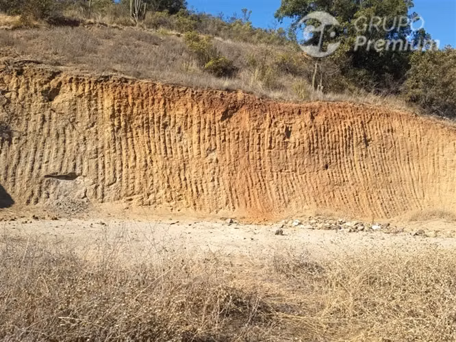 Parcela en venta 5000m2 en Curacaví - Imagen 14