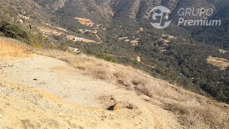 Parcela en venta 5000m2 en Curacaví