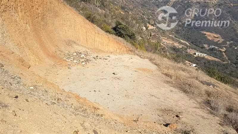 Parcela en venta 5000m2 en Curacaví