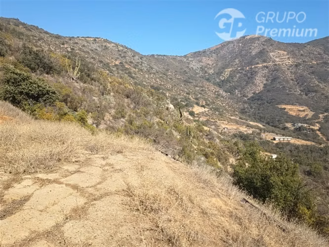 Parcela en venta 5000m2 en Curacaví