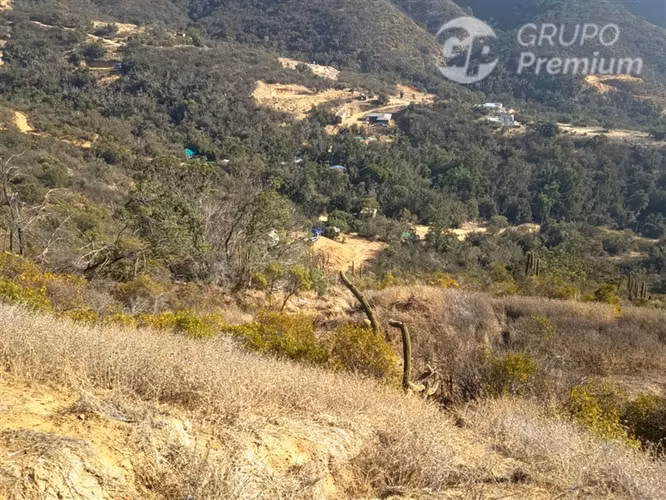Parcela en venta 5000m2 en Curacaví