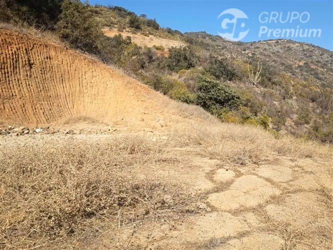 Parcela en venta 5000m2 en Curacaví - Imagen 6