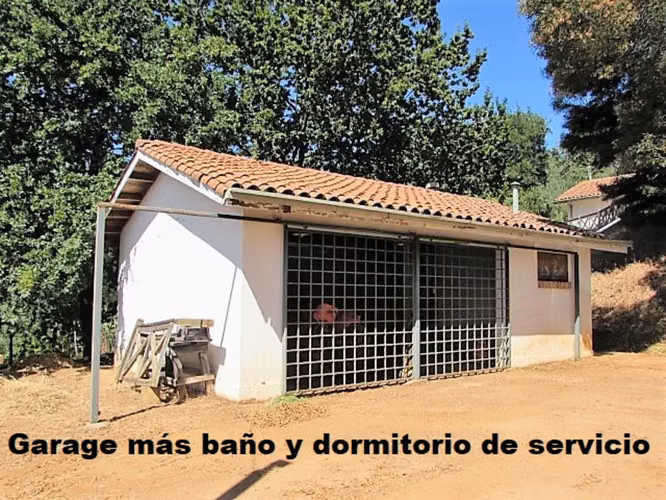 CAUQUENES // VIÑA  // CAMPO PRODUCTIVO (169679)