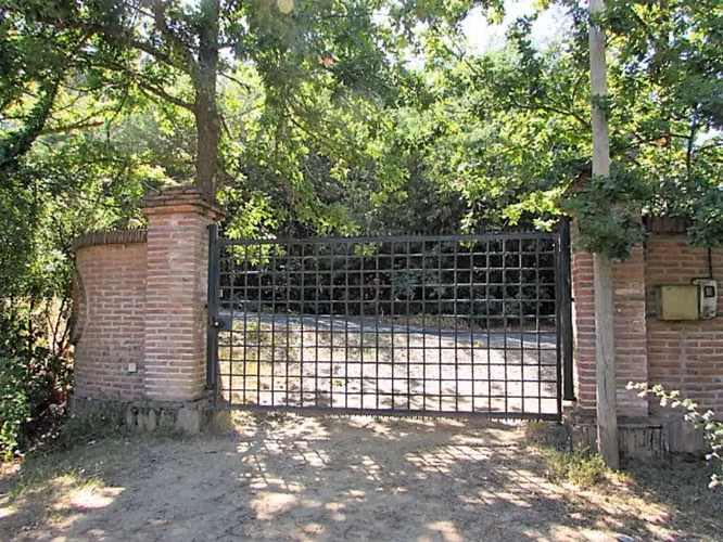 CAUQUENES // VIÑA  // CAMPO PRODUCTIVO (169679)