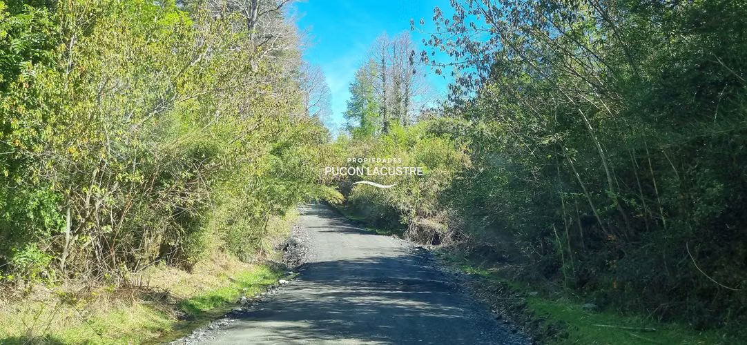Parcela en Bosque Los Renovales (169727)