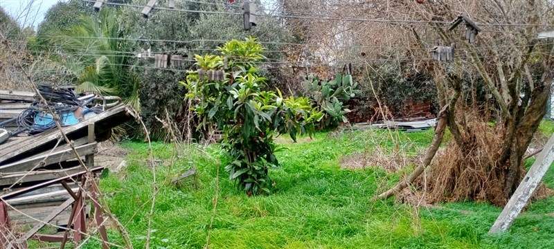 Casa en venta de 5 dorm. en Talca - GRAN TERRENO - Imagen 13