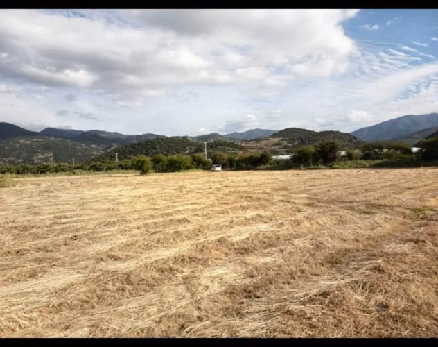 Terreno 5000 mts