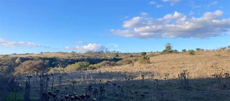 Agrícola en venta en Santo Domingo