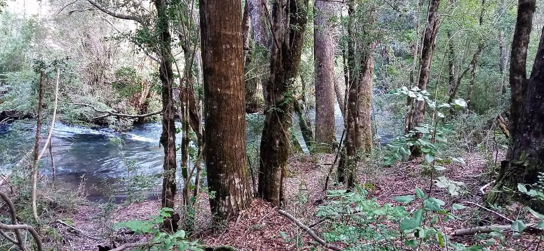 Casa inserta en plena naturaleza, parcela  (169839)