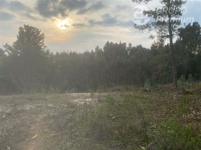 Parcela en venta en Cobquecura