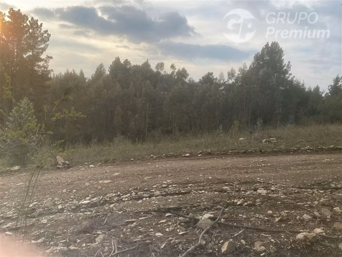 Parcela en venta en Cobquecura
