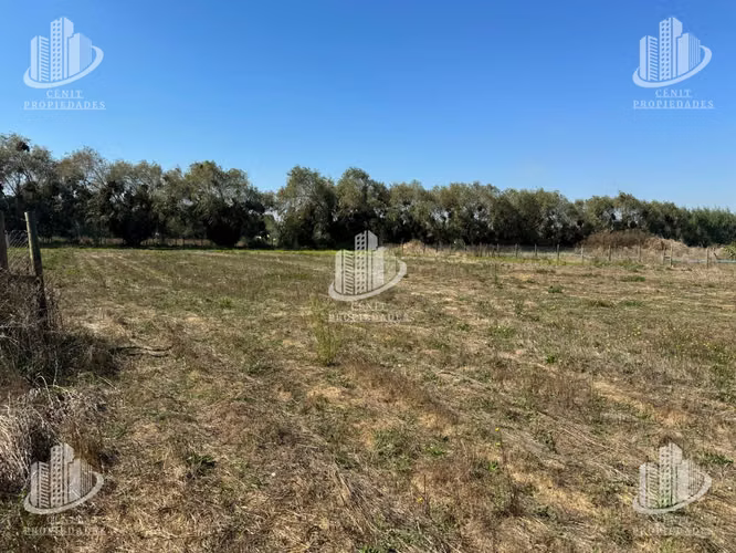PARCELA EN VENTA ORIENTE DE TALCA - Imagen 5
