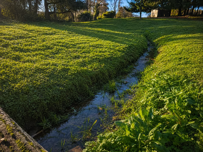 Junio 2026 | Parcela de 5.000m² con domo amoblado, estero natural, árboles | 8 minutos de Osorno