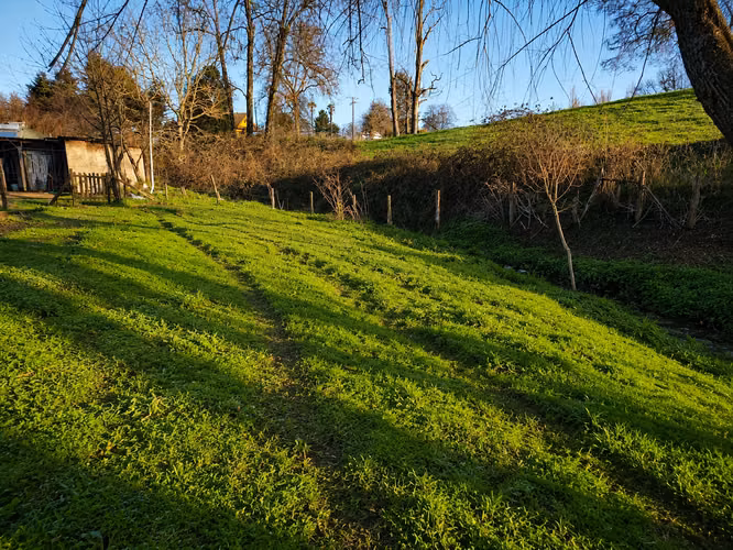 Junio 2026 | Parcela de 5.000m² con domo amoblado, estero natural, árboles | 8 minutos de Osorno