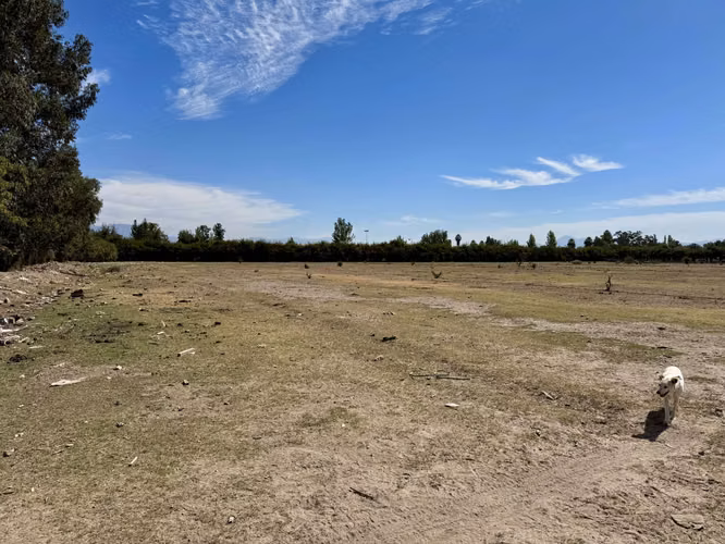 Parcela de 3 Há terreno agrícola, excelente ubicación