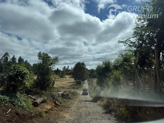 Venta-parcela-bosque nativo-estero-coigues-arrayanes - Imagen 22