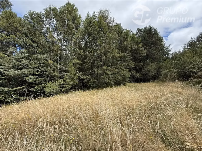 Venta-parcela-bosque nativo-estero-coigues-arrayanes - Imagen 11