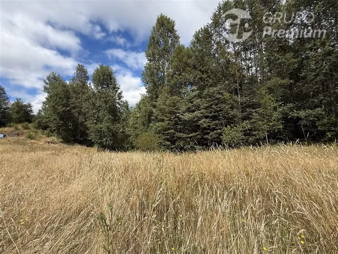 Venta-parcela-bosque nativo-estero-coigues-arrayanes