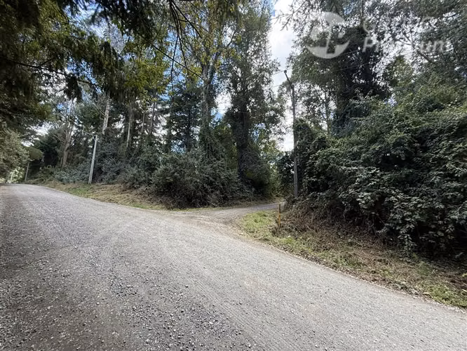 Venta-parcela-bosque nativo-estero-coigues-arrayanes