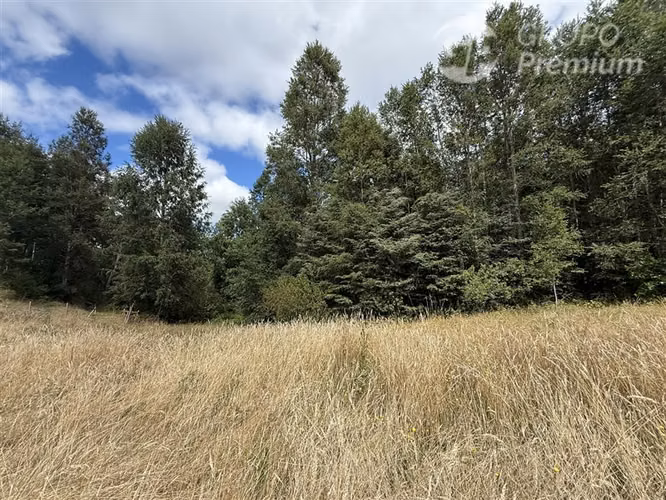 Venta-parcela-bosque nativo-estero-coigues-arrayanes