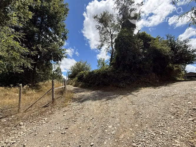 Venta-parcela-bosque nativo-estero-coigues-arrayanes