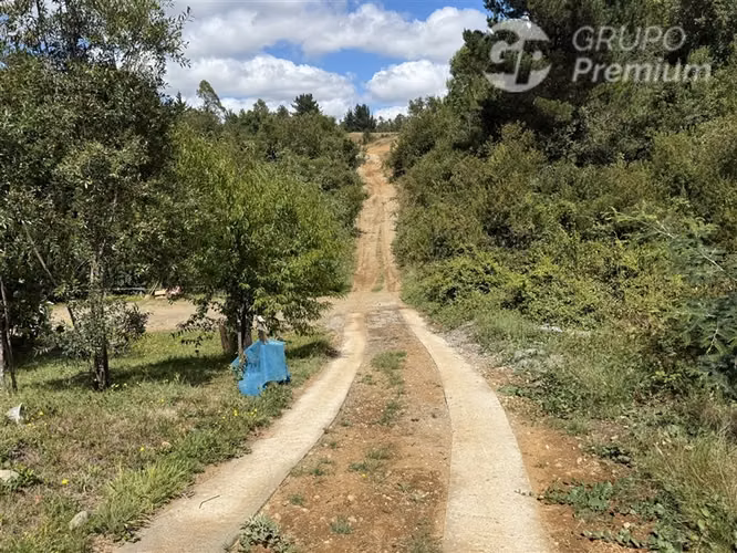 Venta-parcela-bosque nativo-estero-coigues-arrayanes