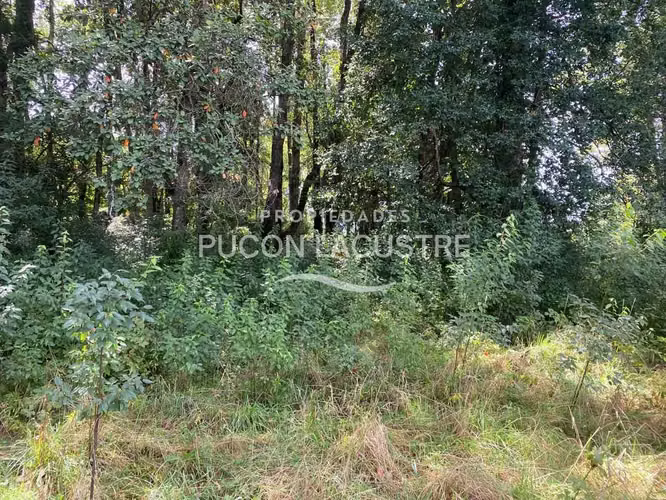 PARCELA ORILLA CAMINO - LEFUN - VILLARRICA (169978)