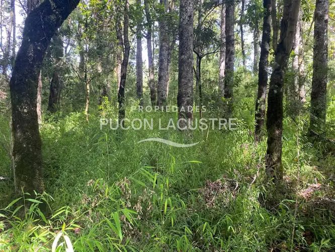 PARCELA ORILLA CAMINO - LEFUN - VILLARRICA (169978)