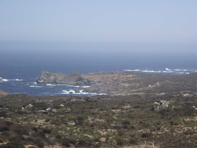 OPORTUNDIAD  VENTA PARCELA,LOS MOLLES. (169954)