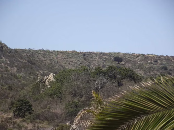 OPORTUNDIAD  VENTA PARCELA,LOS MOLLES. (169954)