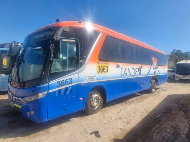 Bus Scania F310 Año 2018