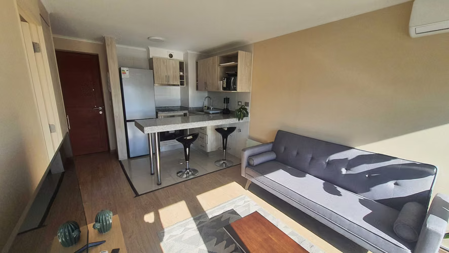 Departamento de 1 dormitorio (170032)