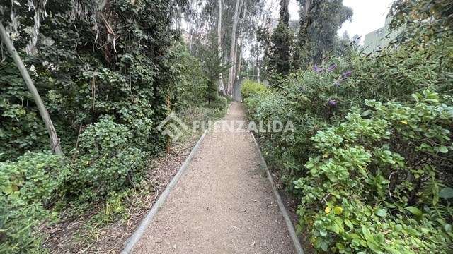 Departamento en venta de 2D2B Jardin del Mar - Imagen 25