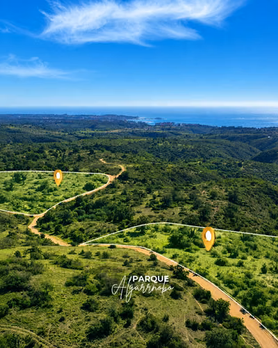 PARCELAS DE 5 HECTÁREAS EN ALGARROBO OFERTA IMPERDIBLE - Imagen 6