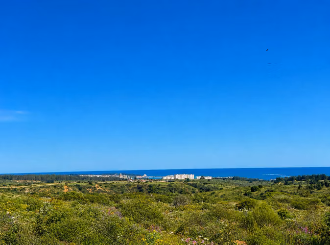 PARCELAS DE 5 HECTÁREAS EN ALGARROBO OFERTA IMPERDIBLE - Imagen 4