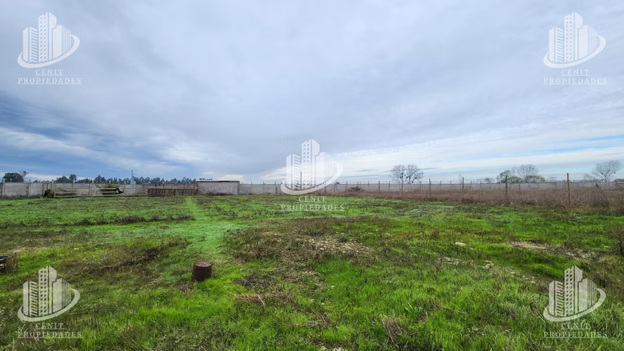 PARCELA CON CASA EN VENTA LINARES, APTA HIPOTECARIO - Imagen 17