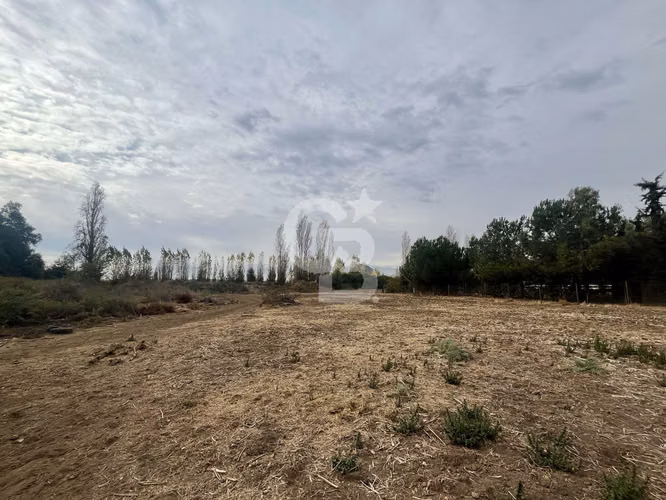 Parcela 5.000 m2 en Lampa - Condominio Los Sauces