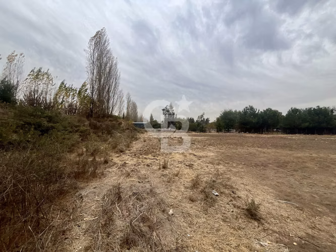 Parcela 5.000 m2 en Lampa-Los Sauces