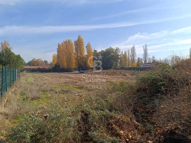 Parcela 5.000 m2 en Lampa-Los Sauces