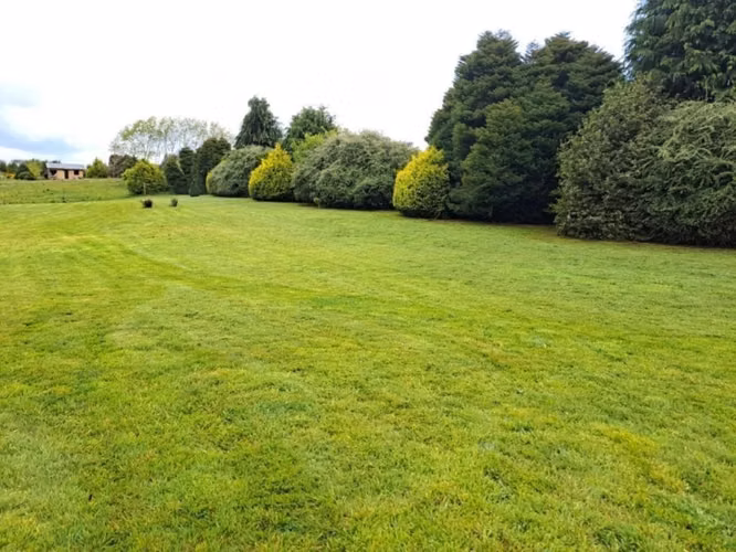 PARCELA 8200 M2 GRANEROS DE PUERTO VARAS