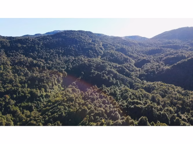 AYSEN  182,81 HA PREDIO LAGO RIESCO